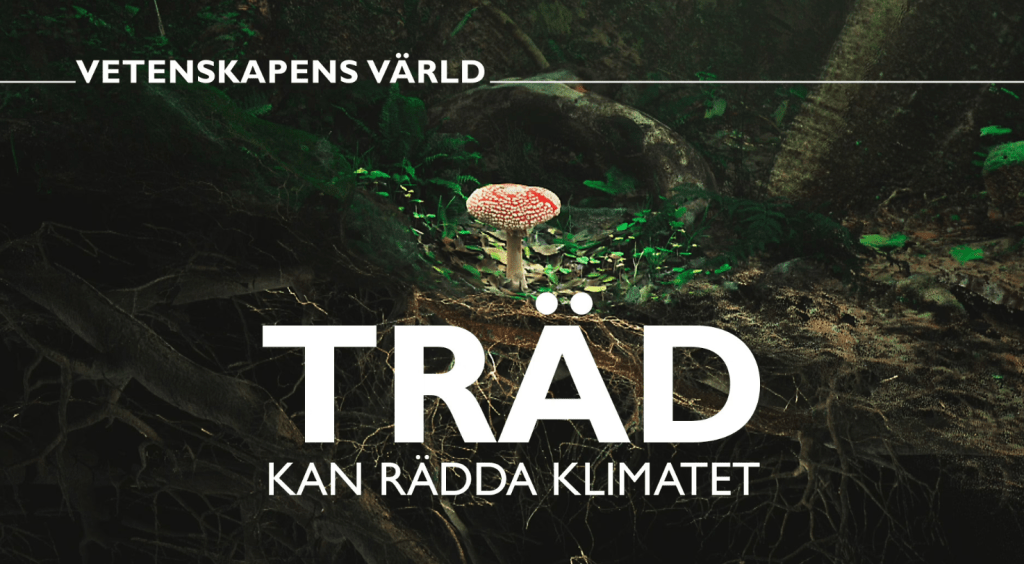 Månadens kulturtips