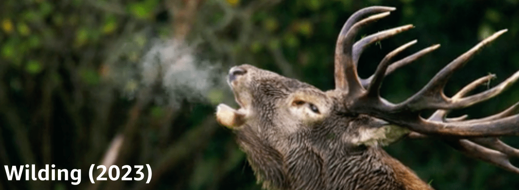 Månadens kulturtips