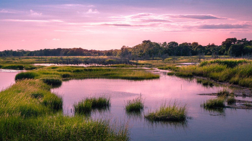 Vad händer på Camino?
