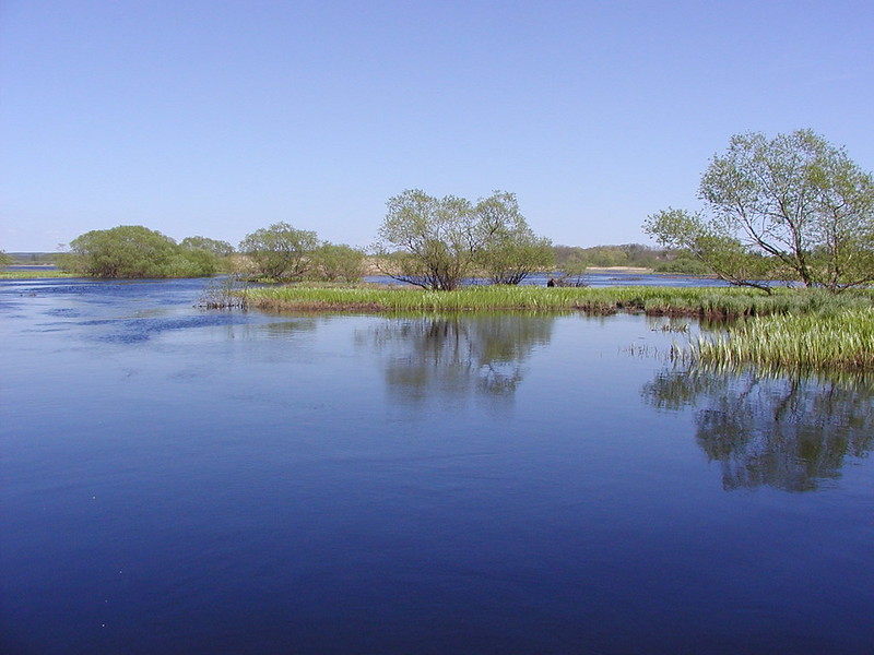 Naturrestaureringsplan riskerar bli tandlös